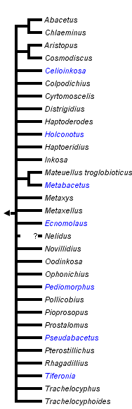 taxon links