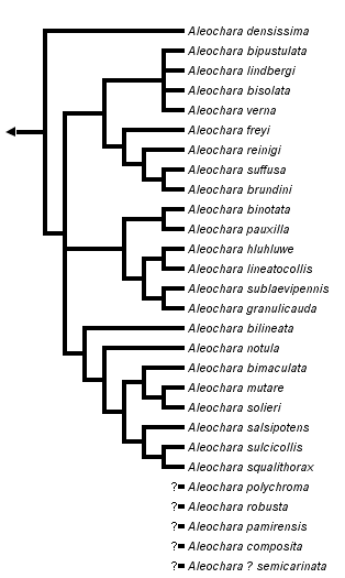 taxon links