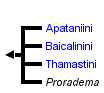 taxon links