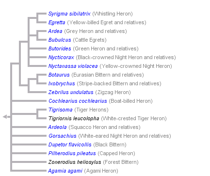 taxon links