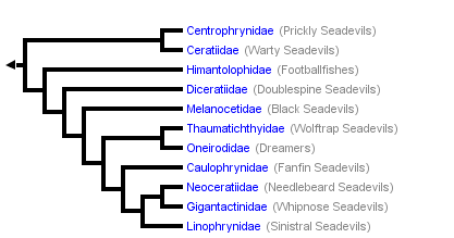 taxon links