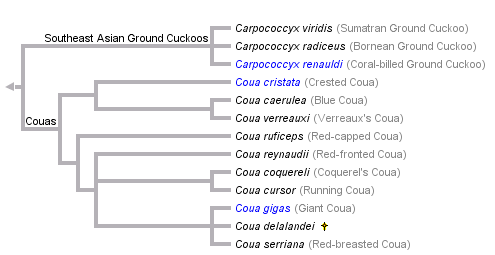 taxon links