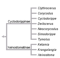 taxon links