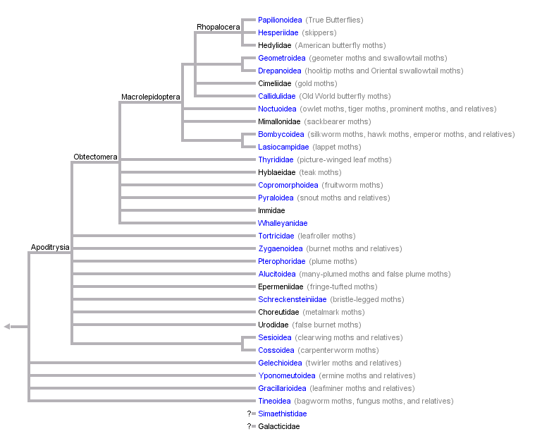 taxon links