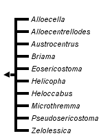 taxon links