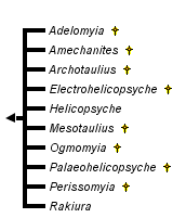 taxon links