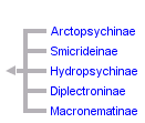 taxon links