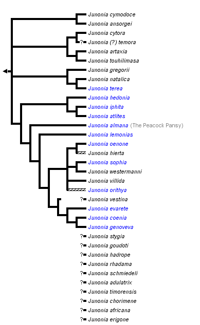 taxon links