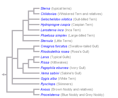 taxon links