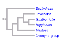 taxon links