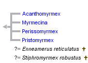 taxon links