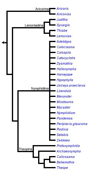 taxon links