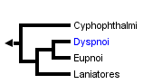 taxon links