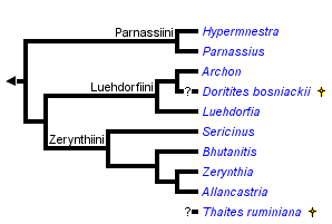 taxon links