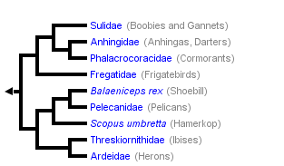 taxon links