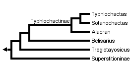 taxon links