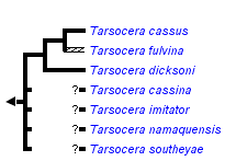 taxon links