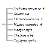 taxon links