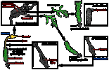 Life cycle of a dioicous moss