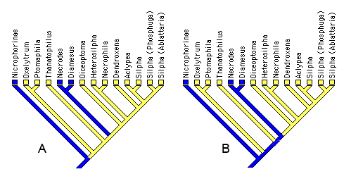 Alternate character mappings